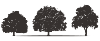 OH Land Buyer logo